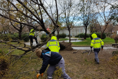 Bursa Yıldırım'da lodosla etkin mücadele