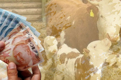 1,46 milyar TL tarımsal destek hesaplarda