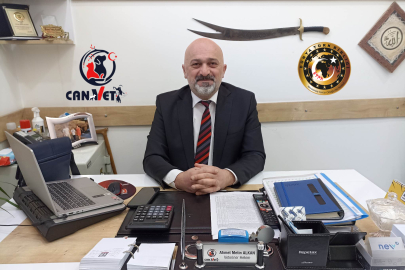 Başkan Alkan: "Sokak hayvanlarını unutmayalım"
