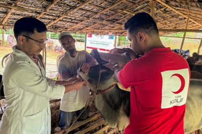 Kızızılay'ın yurt içi ve yurt dışında kurban kesimleri başladı