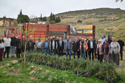 Manisa Büyükşehir yanan alanları yeşillendiriyor