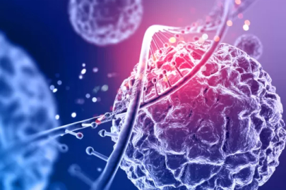 Eksozom kök hücre nedir?