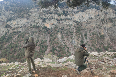 Antalya’da yasadışı avcılığa suçüstü!