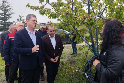 Tokat'ta don felaketi... TBMM gündemine taşınacak