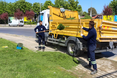 Yalova'da yeşil alan bakımı sürüyor