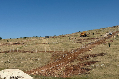 Mardin Artuklu Belediyesi’nden hayvan dostu projeler