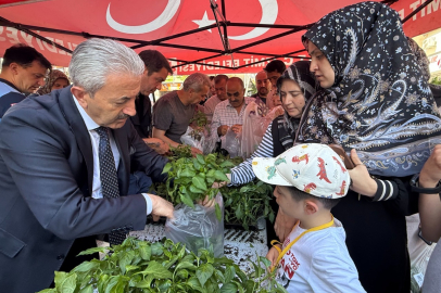 Kocaeli İzmit Belediyesinden halka fide desteği