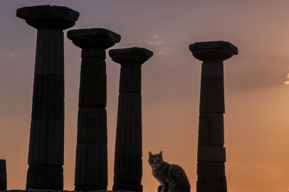 Müzelerin ruhu Bornova’da hayat buldu