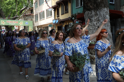 Bursa Mudanya'da zeytinin bereketi Tirilye sokaklarına taştı