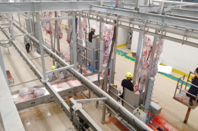 Kurbanlar Kocaeli'nin modern mezbahasında kesiliyor