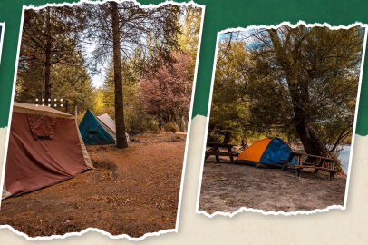 Aile bağları doğada güçleniyor