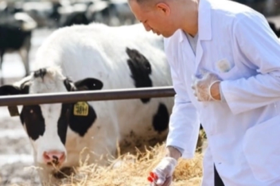 Tarım-GFE'de Mayıs verileri açıklandı... Veteriner harcamaları yine başı çekiyor