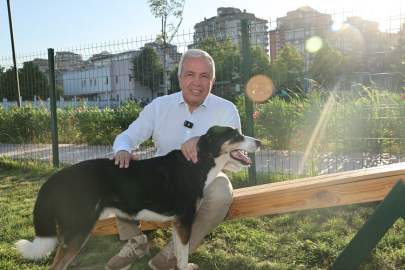 Bursa Nilüfer’de can dostlar yeni yuvalarına kavuştu