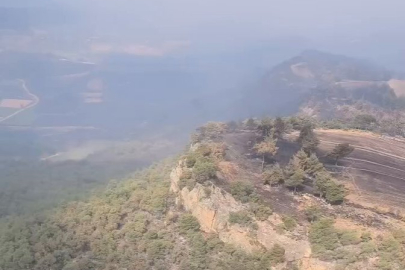 Bilecik'te yangınlar kontrol altında