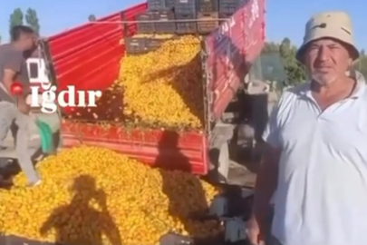 1 TL'lik kayısı paylaşımı 1,4 milyon TL cezaya patladı! Yanıltıcı paylaşıma milyon liralık ceza!