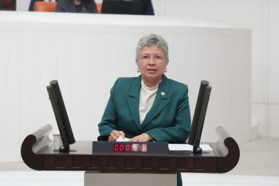 CHP’li Yontar: Zeytini kömüre feda etmek geleceğe ihanettir!