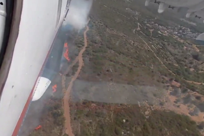 İzmir ve Bursa'da orman yangını... Havadan ve karadan müdahaleler sürüyor