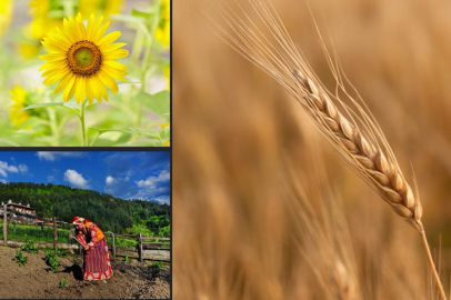 Türkiye tarımsal hasılada rekor kırdı! Tarımsal hasıla 70 milyar dolar sınırını aştı