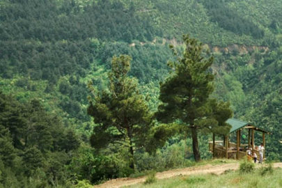 Bursa’da ormanlara giriş 15 Ekim'e kadar yasaklandı!