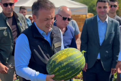Tarım Kredi, Bilecik'in afet bölgesindeki üreticiden 6 bin ton karpuz alacak
