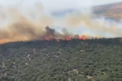 Bursa’da yangın alarmı: Gölyazı ve Akçalar’da müdahale sürüyor