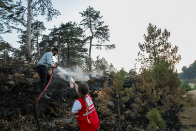 Türk Kızılayı orman yangınlarıyla mücadelede ön safta