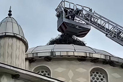 Bursa İtfaiyesi'nden İznik'te can dostuna hayat kurtaran müdahale