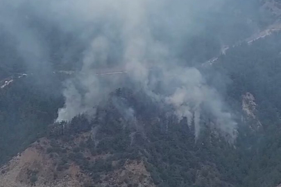 Karabük Yeşilköy’de orman yangını
