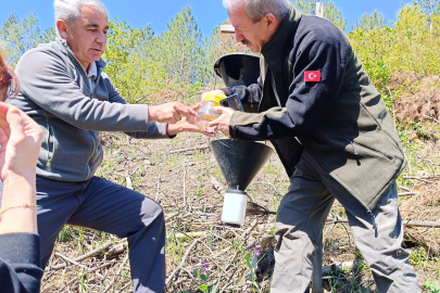 Bursa’da kabuk böceklerine karşı biyolojik mücadele başladı