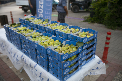 İzmir Güzelbahçe'de dalında kuruyan bardacığı belediye aldı