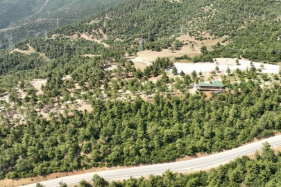 Bursa Gürsu'nun mesire alanı küllerden temizlendi