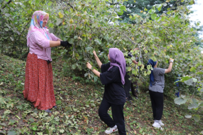 ‘Fındık Dalda Aklın İşçide Kalmasın’ projesi 6. yılında