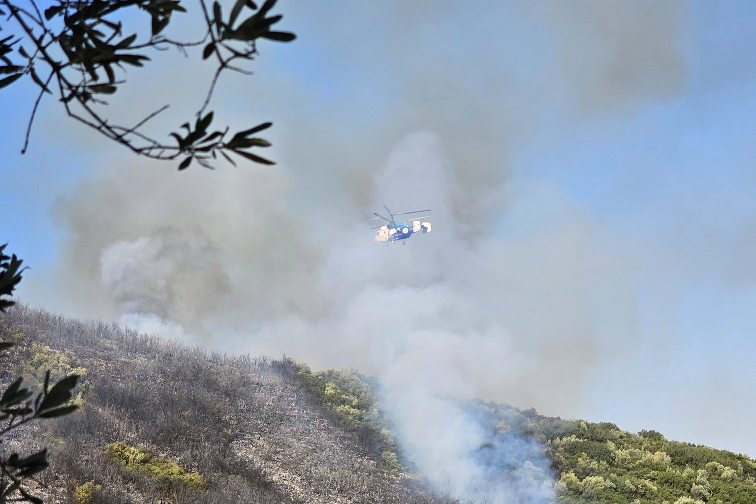 Bursa Orhangazi’de orman yangını!