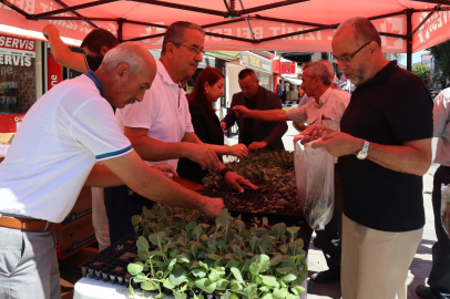 İzmit'ten vatandaşlara fide hediyesi