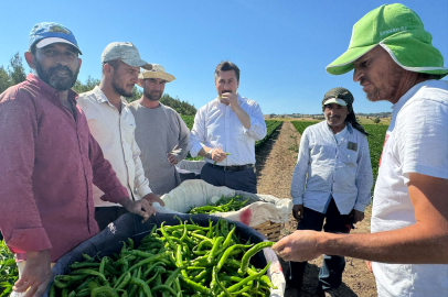 Bursa Yenişehir'de tarla işçilerine 'Özel' ziyaret