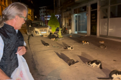 Düzce'de kendini kedilere adadı!