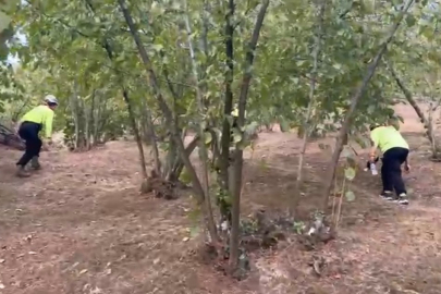 Düzce'de 81 yaşındaki kayıp kadın aranıyor