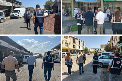 Fıstık sektörüne iki ilde kapsamlı denetim