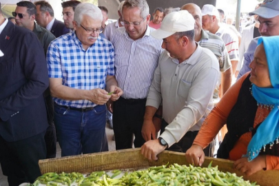 Balıkesir Ayvalık'ta çiftçilere özel destek