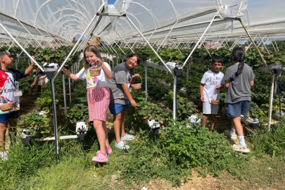 Doğanın kalbinde bir yaz masalı