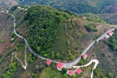 Ünye Pelitliyatak’ta mutlu son!