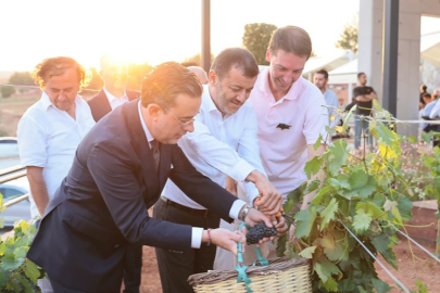 Çal Bağbozumu Festivali kültürle renklendi