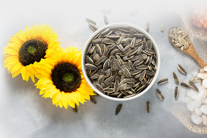 PAN-PA siyah çekirdek alımlarına başladı