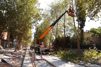 Alikahya Tramvay Hattı için ağaçlara itinalı budama