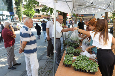 Ordu’da kışlık sebze atağı: 200 bin fide üreticiyle buluşuyor