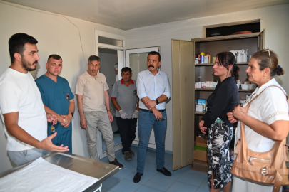 Manisa’da sokak hayvanları için yeni yaşam alanları oluşturuluyor