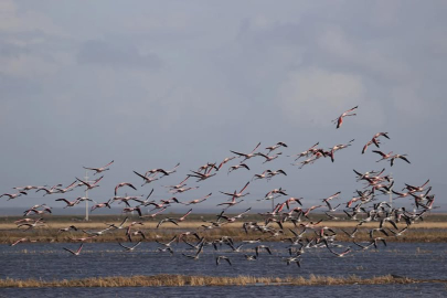 4 dernekten Gala Gölü için yardım çağrısı