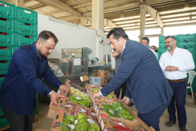 Bursa Yenişehir'in tarım ürünleri Libya yolunda... İlk numuneler gönderildi