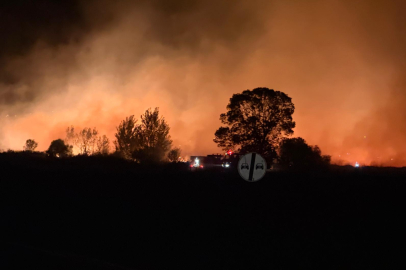 Mecidiye’de anız yangını kontrol altına alındı
