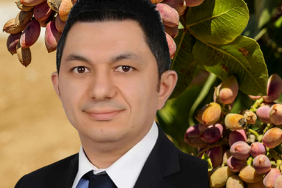 UKAB MYK Üyesi Büyükmurat: İthal fıstık çiftçiyi bitirir!